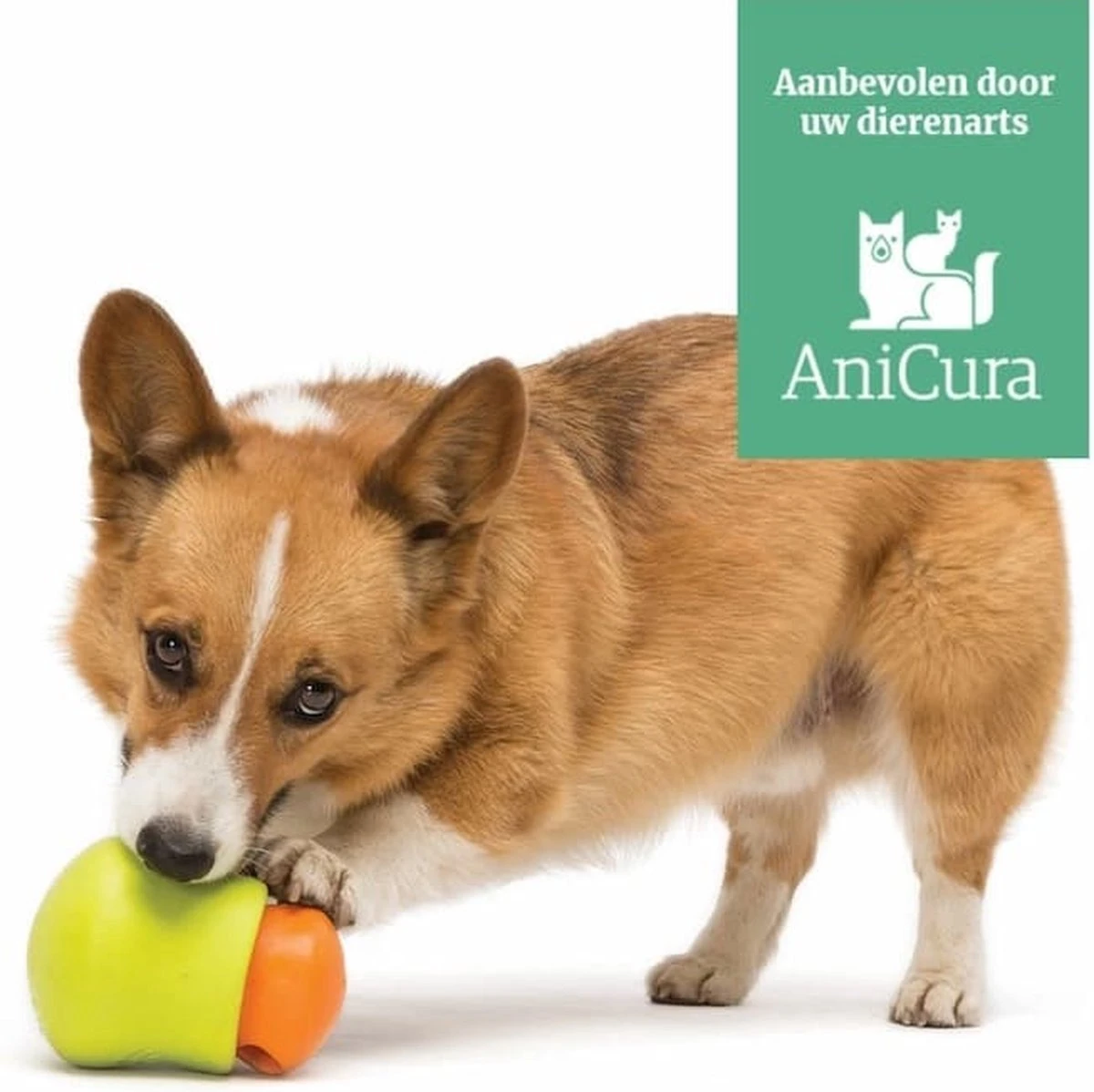 West Paw Toppl Zogoflex - Uitdagend En Sterk Speelgoed Voor Honden - Slowfeeder - Vulbaar Met Voer Of Snacks - Kleur: Groen, Maat: Large 13 West Paw Toppl Zogoflex - Uitdagend En Sterk Speelgoed Voor Honden - Slowfeeder - Vulbaar Met Voer Of Snacks - Kleur: Groen, Maat: Large - Image 11