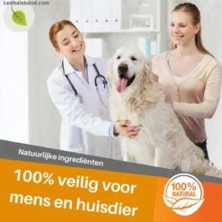 Natuurlijke Vlooienband Voor Honden - Roze - Teken En Vlooien - Zonder Schadelijke Pesticiden - Veilig En Verantwoord - Hondenbandje - Geur Halsband -Huisdierbenodigdheden Korting 1200x1198 44