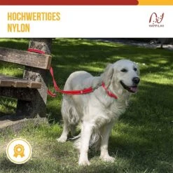 Happilax Dog Leash 2m Adjustable - Red / Reflective - 3-Step Adjustable Leash - Double Leash, Tug Leash - Geschikt Als Hondenriem Voor Grote Honden Of Als Sleepriem Voor Kleine Honden. -Huisdierbenodigdheden Korting 1200x1199 1