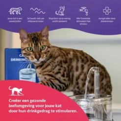 Cas & Lux Stijlvolle Drinkfontein Voor Katten - Drinkfontein - Inclusief 2x Filters En Schoonmaak Kit - 1.5L - Waterfontein - Super Stil 12 Cas & Lux Stijlvolle Drinkfontein Voor Katten - Drinkfontein - Inclusief 2x Filters En Schoonmaak Kit - 1.5L - Waterfontein - Super Stil -Huisdierbenodigdheden Korting 1200x1199 13