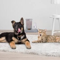 Relaxdays Voer-en Drinkbak 2 In 1- Honden Katten - Voederdispenser - Eetbak - Waterbak Donkergrijs -Huisdierbenodigdheden Korting 1200x1199 15