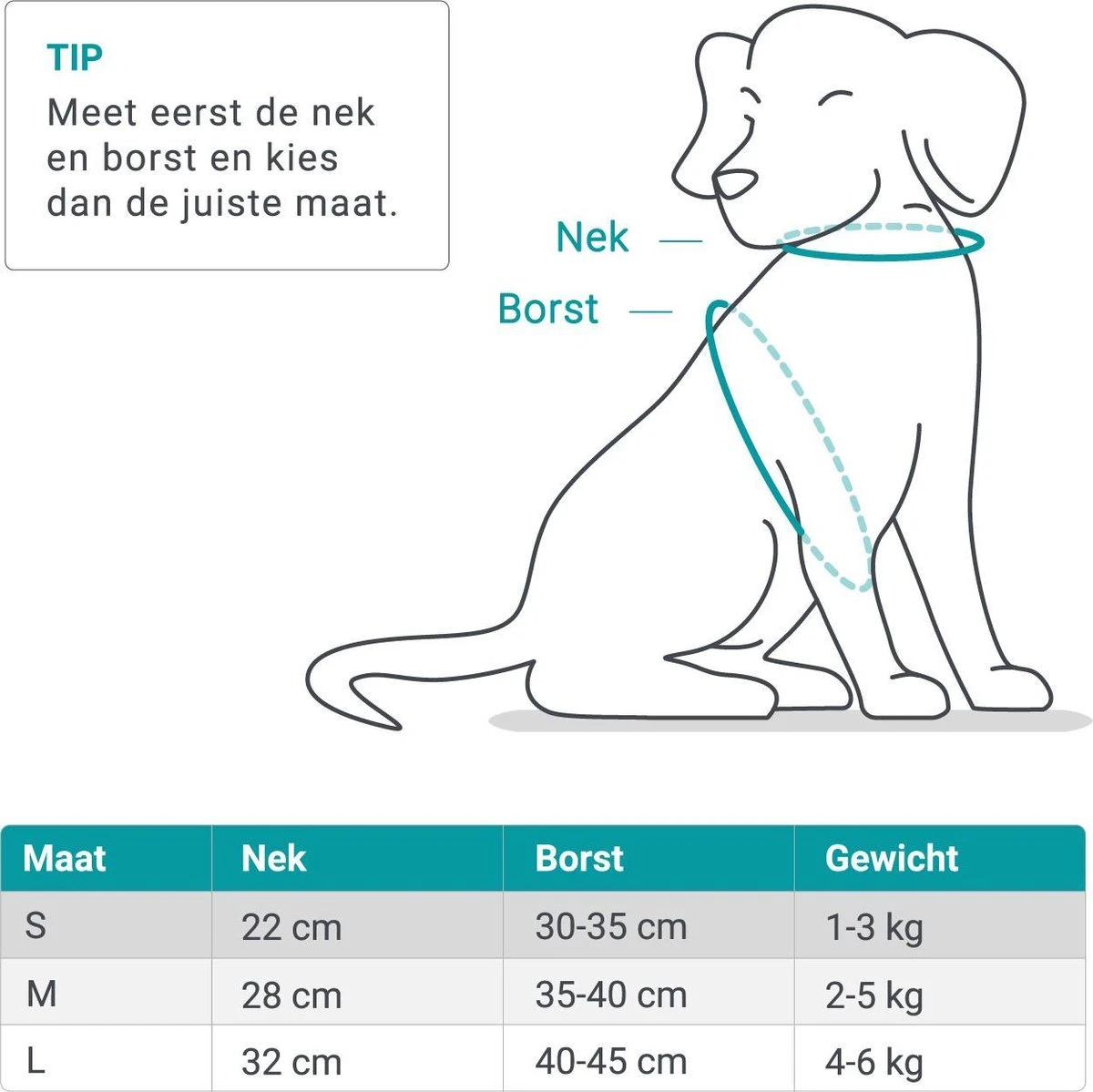 Hondentuig, Hondenharnas Met Hondenriem – Reflecterend - Zwart – Maat L (borst 40-45 Cm) 5 Hondentuig, Hondenharnas Met Hondenriem – Reflecterend - Zwart – Maat L (borst 40-45 Cm) - Image 3