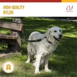 Happilax Dog Leash 2m Adjustable - Black/Reflective - 3-Step Adjustable Leash - Double Leash, Tug Leash - Geschikt Als Hondenriem Voor Grote Honden Of Als Sleepriem Voor Kleine Honden. -Huisdierbenodigdheden Korting 1200x1199 2