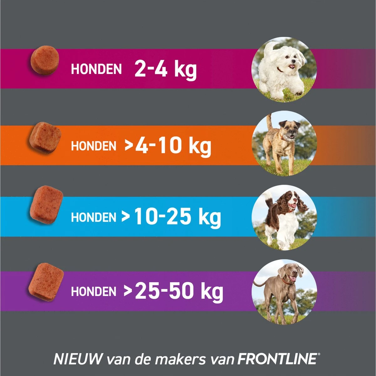 Frontpro Hond XL 25-50 Kg 3 Tabletten 11 Frontpro Hond XL 25-50 Kg 3 Tabletten - Image 9