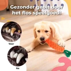 Luxury Diversity - Honden Speelgoed - 12 Honden Speeltjes - Puppy Speelgoed - Honden - Honden Speelgoed Intelligentie -Huisdierbenodigdheden Korting 1200x1199 25