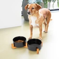 Voerbak Hond - Drinkbak - Met Standaard - 2x 800 Ml - Maat M - Zwart -Huisdierbenodigdheden Korting 1200x1200 1006