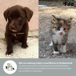 Filo Elastische Hondenriem Groot - Hardlopen En Wandelen - Hardloopriem Hond Handsfree Met Heuptasje - Looplijn Met Heupriem - Canicross Gordel Honden - Riemen - Heupgordel - Leiband -Huisdierbenodigdheden Korting 1200x1200 102