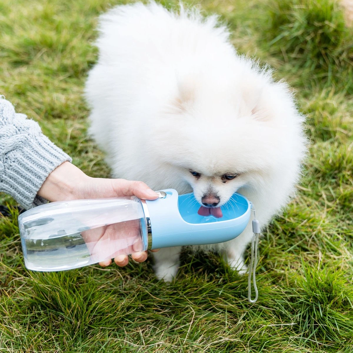 Nobleza 43B4C - Honden Waterfles - 500ml - Honden Bidon - Honden Drinkfles - Blauw 9 Nobleza 43B4C - Honden Waterfles - 500ml - Honden Bidon - Honden Drinkfles - Blauw - Image 7