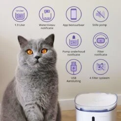 Pettadore Hydrate Compact - Drinkfontein Kat/Hond - Slimme Waterfontein Met App - 1,9L -Huisdierbenodigdheden Korting 1200x1200 1053