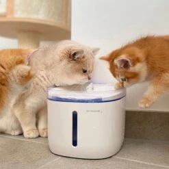 Pettadore Hydrate Compact - Drinkfontein Kat/Hond - Slimme Waterfontein Met App - 1,9L -Huisdierbenodigdheden Korting 1200x1200 1054