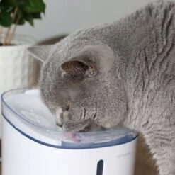 Pettadore Hydrate Compact - Drinkfontein Kat/Hond - Slimme Waterfontein Met App - 1,9L -Huisdierbenodigdheden Korting 1200x1200 1055