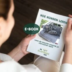 De Blaffende Kat Wasdrogerbollen - Droger Ballen - Huisdier Haarverwijderaar - 4 Wasbollen Voor Wasmachine En Droger -Huisdierbenodigdheden Korting 1200x1200 106