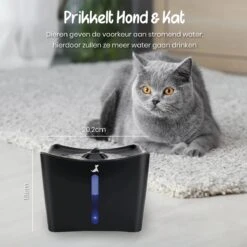 Loyalpetclub® XL Drinkfontein Kat – Drinkbak Hond & Kat - Waterfontein Kat – Waterdispenser 3L - Kattenfontein Met Waterfilter - Inclusief Mat 12 Loyalpetclub® XL Drinkfontein Kat – Drinkbak Hond & Kat - Waterfontein Kat – Waterdispenser 3L - Kattenfontein Met Waterfilter - Inclusief Mat -Huisdierbenodigdheden Korting 1200x1200 1098