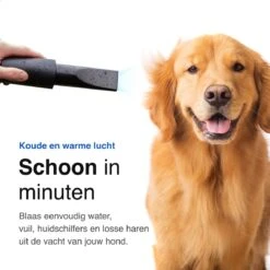 Vivid Green Waterblazer Met 3 Opzetstukken - Hondenfohn - Voor Honden - Met Geluiddemper - 2800W -Huisdierbenodigdheden Korting 1200x1200 11