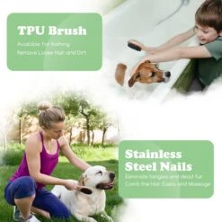 Merkloos Nobleza Dierenborstel - Hondenborstel - Kattenborstel - Tweezijdig - Dubbelzijdig - Hout - Maat L -Huisdierbenodigdheden Korting 1200x1200 110