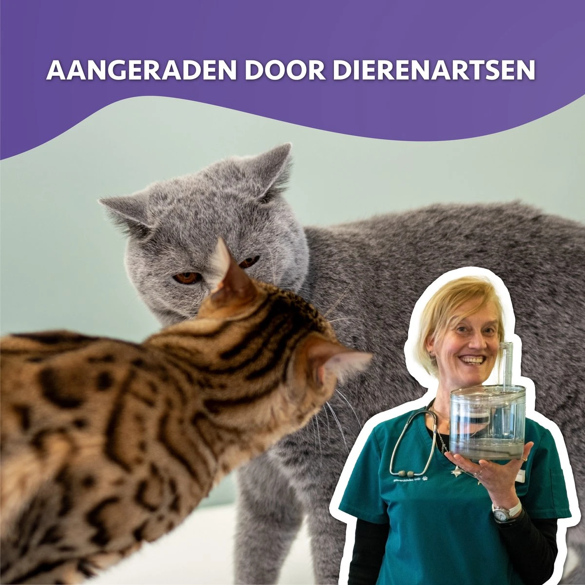 Cas & Lux Stijlvolle Drinkfontein Voor Katten - Drinkfontein - Inclusief 2x Filters En Schoonmaak Kit - 1.5L - Waterfontein - Super Stil 6 Cas & Lux Stijlvolle Drinkfontein Voor Katten - Drinkfontein - Inclusief 2x Filters En Schoonmaak Kit - 1.5L - Waterfontein - Super Stil - Image 4
