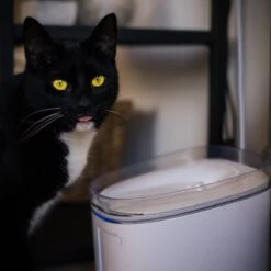 Pettadore Hydrate Ultra - Drinkfontein Kat/Hond - Smart & UV Sterilisatie - 2L -Huisdierbenodigdheden Korting 1200x1200 1158