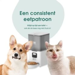 Bowkam Automatische Voerautomaat - Voerbak - Voerautomaat - Voerbak Kat - Voerbak Hond - Wit - Met Voice Recording -Huisdierbenodigdheden Korting 1200x1200 1165