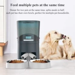 TJM PT101 Automatische Voerbak - Programmeerbaar - Kat En Hond - Dubbel -Huisdierbenodigdheden Korting 1200x1200 1184