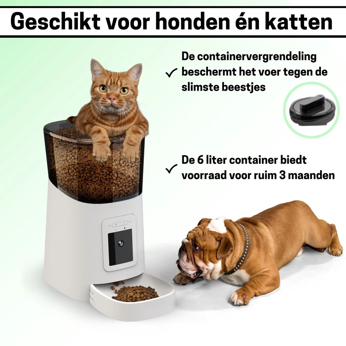 BOME Voerautomaat - Camera En Audio - Inclusief SD-Kaart - Automatische Voerbak Kat Of Hond - Wit 6 BOME Voerautomaat - Camera En Audio - Inclusief SD-Kaart - Automatische Voerbak Kat Of Hond - Wit - Image 4