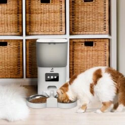 Pawsy® AR2 - Automatische Voerbak - Dubbele Voerbak - Automatische Voederbak Kat & Hond - WiFi Voerautomaat 20 Pawsy® AR2 - Automatische Voerbak - Dubbele Voerbak - Automatische Voederbak Kat & Hond - WiFi Voerautomaat -Huisdierbenodigdheden Korting 1200x1200 1245
