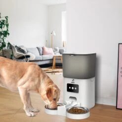 Pawsy® AR2 - Automatische Voerbak - Dubbele Voerbak - Automatische Voederbak Kat & Hond - WiFi Voerautomaat 21 Pawsy® AR2 - Automatische Voerbak - Dubbele Voerbak - Automatische Voederbak Kat & Hond - WiFi Voerautomaat -Huisdierbenodigdheden Korting 1200x1200 1246