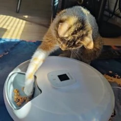 Pettadore Nutri Turn - Voerautomaat Kat/Hond - Smart Met App - 6 Maaltijden Nat En Droogvoer -Huisdierbenodigdheden Korting 1200x1200 1257