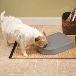 Petsafe Eatwell Automatische-voerbak Voor Vijf Maaltijden - BPA Vrij -Huisdierbenodigdheden Korting 1200x1200 1288