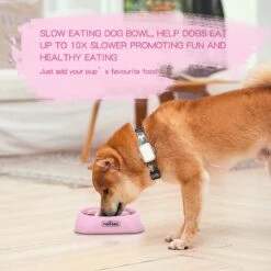 Nobleza H8P - Anti Schrok Voerbak - 20x20x4.5cm - Roze -Huisdierbenodigdheden Korting 1200x1200 1294