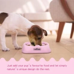 Nobleza H8P - Anti Schrok Voerbak - 20x20x4.5cm - Roze -Huisdierbenodigdheden Korting 1200x1200 1295