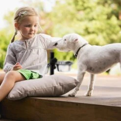 Relaxdays Hondenvoerbak Op Standaard - In Hoogte Verstelbaar - Dubbele Voerbak - Hondenbak - 2 X 2,15 Liter -Huisdierbenodigdheden Korting 1200x1200 1299