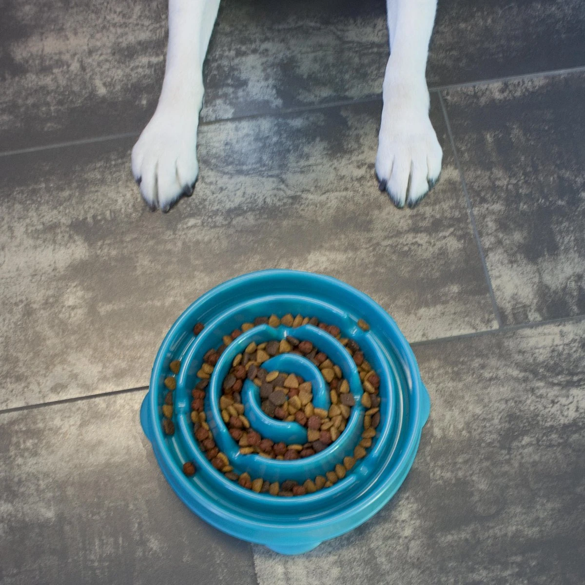 Anti Schrok Voerbak - Lichtblauw - Ø 28 Cm 3 Anti Schrok Voerbak - Lichtblauw - Ø 28 Cm