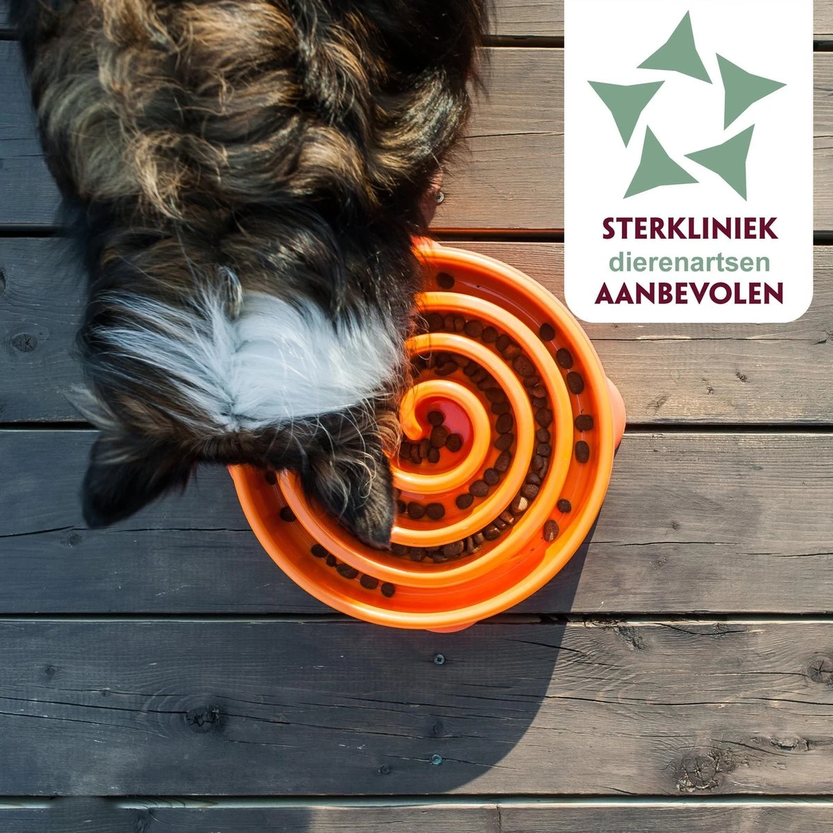 Anti Schrok Voerbak - Lichtblauw - Ø 28 Cm 15 Anti Schrok Voerbak - Lichtblauw - Ø 28 Cm - Image 13