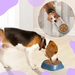 Anti Schrokbak Hond – Voerbak Honden – Slow Feeder – Anti Schrok Voerbak – Slow Bowl - Blauw -Huisdierbenodigdheden Korting 1200x1200 1313