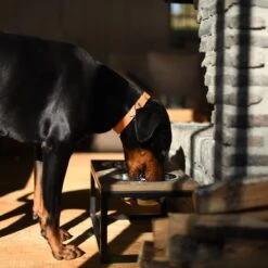 Lord Lou Honden Voerbak - Dubbele Eetbak - Roma L 59,5x31x25 -Huisdierbenodigdheden Korting 1200x1200 1322