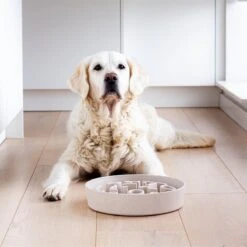 District 70 BAMBOO Slowfeeder - Stijlvolle Anti-schrok Voerbak Voor Honden - In De Kleur Merengue, Ice Blue En Donkergrijs – Maat Small Of Large - Kleur: Merengue, Maat: Small Ø21 Cm (1200 ML) -Huisdierbenodigdheden Korting 1200x1200 1330