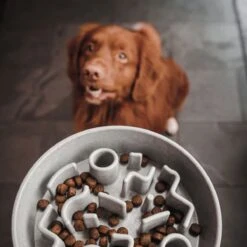 District 70 BAMBOO Slowfeeder - Stijlvolle Anti-schrok Voerbak Voor Honden - In De Kleur Merengue, Ice Blue En Donkergrijs – Maat Small Of Large - Kleur: Merengue, Maat: Small Ø21 Cm (1200 ML) -Huisdierbenodigdheden Korting 1200x1200 1335