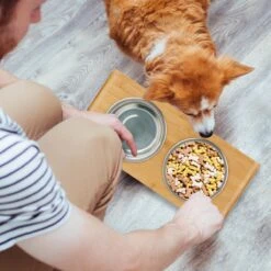 Relaxdays Voerbak Hond Met Standaard - Dubbel - Hondenvoerbak - 2 Eetbakken - Verhoogd -Huisdierbenodigdheden Korting 1200x1200 1347