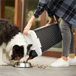 Rotho Voedselcontainer CODY - Voeropslag - 50l - Zwart -Huisdierbenodigdheden Korting 1200x1200 1354