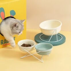 GIZMO 2x Voerbak Kat (Klein) - 300ML - Lichtgroen - Keramische Drink- & Voerbakken Met Standaard - 12.5 Cm - 2 Stuks -Huisdierbenodigdheden Korting 1200x1200 1357