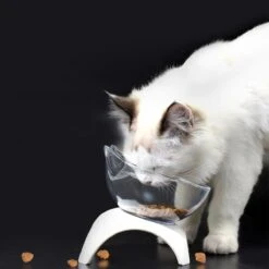 Dieren Water & Voer Set - Enkel Voerbak - Repus Single Voerbak Voor Huisdieren - Eetbak - Katten/Honden - Katten Voerbakjes - Voor Katten En Honden Dierenvoeding - Drink Bak Katten Zonder Morsen - Drinksilo - Nek Bescherming -Huisdierbenodigdheden Korting 1200x1200 1368