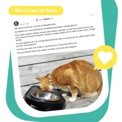 Moowi - In Hoogte Verstelbare Voerbak Voor Kat - Dubbele RVS Etensbak - Ook Voor Kleine Hond - Drinkbak - Ergonomisch - 350 ML - 14 CM - Zwart 23 Moowi - In Hoogte Verstelbare Voerbak Voor Kat - Dubbele RVS Etensbak - Ook Voor Kleine Hond - Drinkbak - Ergonomisch - 350 ML - 14 CM - Zwart -Huisdierbenodigdheden Korting 1200x1200 1381