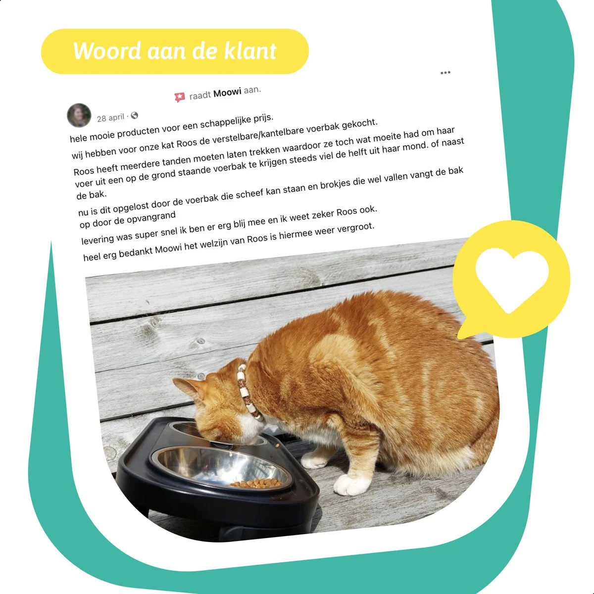 Moowi - In Hoogte Verstelbare Voerbak Voor Kat - Dubbele RVS Etensbak - Ook Voor Kleine Hond - Drinkbak - Ergonomisch - 350 ML - 14 CM - Zwart 12 Moowi - In Hoogte Verstelbare Voerbak Voor Kat - Dubbele RVS Etensbak - Ook Voor Kleine Hond - Drinkbak - Ergonomisch - 350 ML - 14 CM - Zwart - Image 10