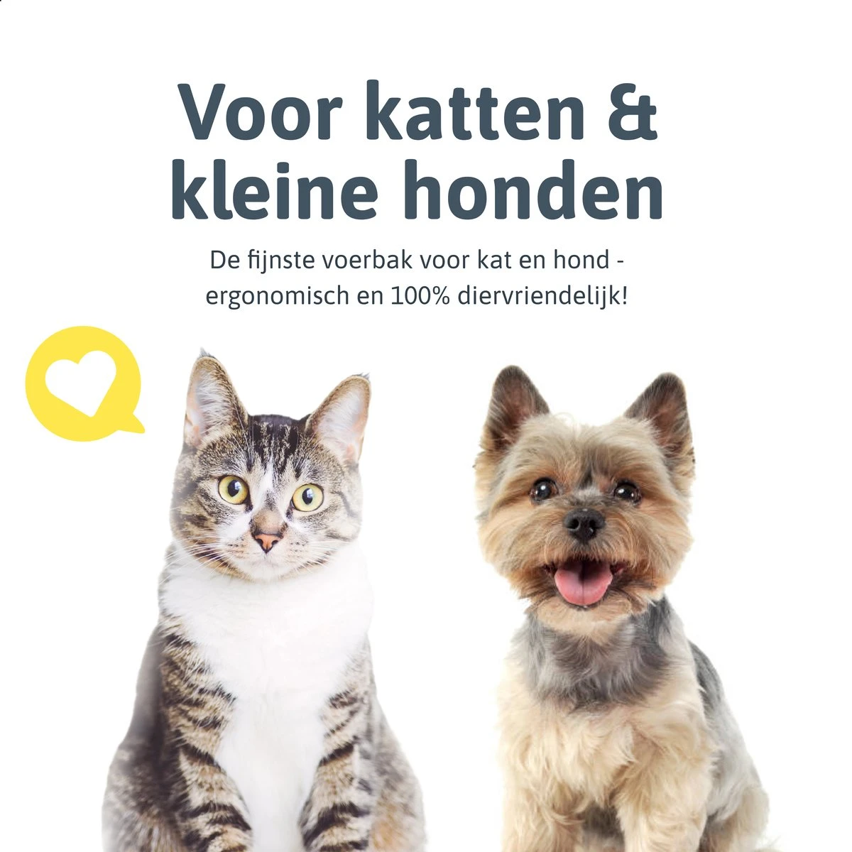 Moowi - In Hoogte Verstelbare Voerbak Voor Kat - Dubbele RVS Etensbak - Ook Voor Kleine Hond - Drinkbak - Ergonomisch - 350 ML - 14 CM - Zwart 13 Moowi - In Hoogte Verstelbare Voerbak Voor Kat - Dubbele RVS Etensbak - Ook Voor Kleine Hond - Drinkbak - Ergonomisch - 350 ML - 14 CM - Zwart - Image 11
