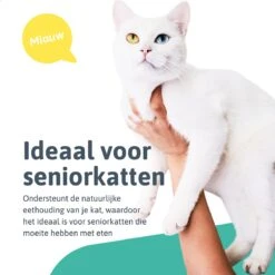 Moowi - In Hoogte Verstelbare Voerbak Voor Kat - Dubbele RVS Etensbak - Ook Voor Kleine Hond - Drinkbak - Ergonomisch - 350 ML - 14 CM - Zwart 25 Moowi - In Hoogte Verstelbare Voerbak Voor Kat - Dubbele RVS Etensbak - Ook Voor Kleine Hond - Drinkbak - Ergonomisch - 350 ML - 14 CM - Zwart -Huisdierbenodigdheden Korting 1200x1200 1383