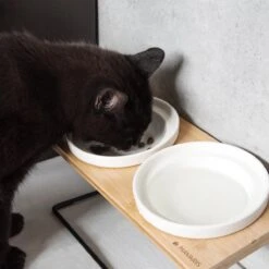 Navaris Verhoogde Voerbakset Met Standaard - 2 Keramische Voerbakken Met Houder Van Bamboe En Metaal - Voer- En Drinkbak Voor Kat En Hond - Antislip 12 Navaris Verhoogde Voerbakset Met Standaard - 2 Keramische Voerbakken Met Houder Van Bamboe En Metaal - Voer- En Drinkbak Voor Kat En Hond - Antislip -Huisdierbenodigdheden Korting 1200x1200 1395