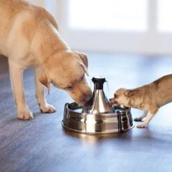 PetSafe Drinkwell 360 -Huisdierbenodigdheden Korting 1200x1200 1411