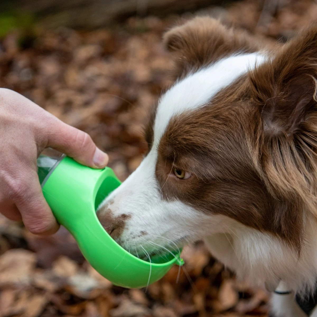 Mister Mill Drinkfles Hond - Honden Bidon - Waterfles - 500ML + 50ML Voeropslag + Poepzakjes Container 7 Mister Mill Drinkfles Hond - Honden Bidon - Waterfles - 500ML + 50ML Voeropslag + Poepzakjes Container - Image 5