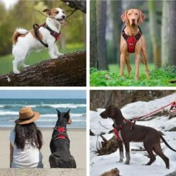 Hondenharnas – Inclusief Hondenriem – Reflecterend – Hondentuig – Hondenriem – Y Tuig Hond - Anti Trek Tuig - Zwart – Maat M -Huisdierbenodigdheden Korting 1200x1200 1427