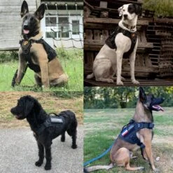 Always Prepared © Pro K9 Hondentuig - Anti Trek - Y Tuig - Middel En Grote Hond - Veiligheidstuig -Huisdierbenodigdheden Korting 1200x1200 1440